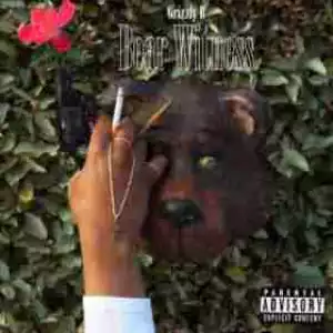 Bear Witness BY Grizzly B